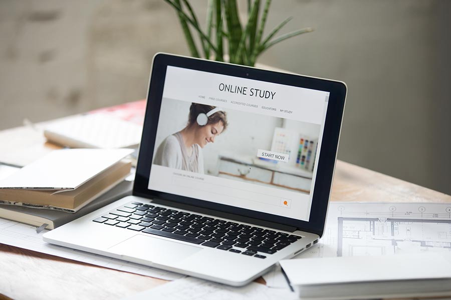 Emotional Intelligence in Vision Management